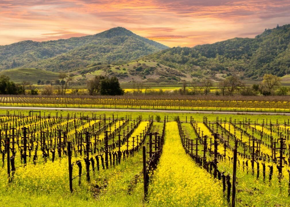#21. Yountville, California
